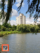 3 к. кв-ра, улица Петруся Бровки, д. 49, г. Гомель 3 к. кв-ра, улица Петруся Бровки, д. 49, г. Гомель
